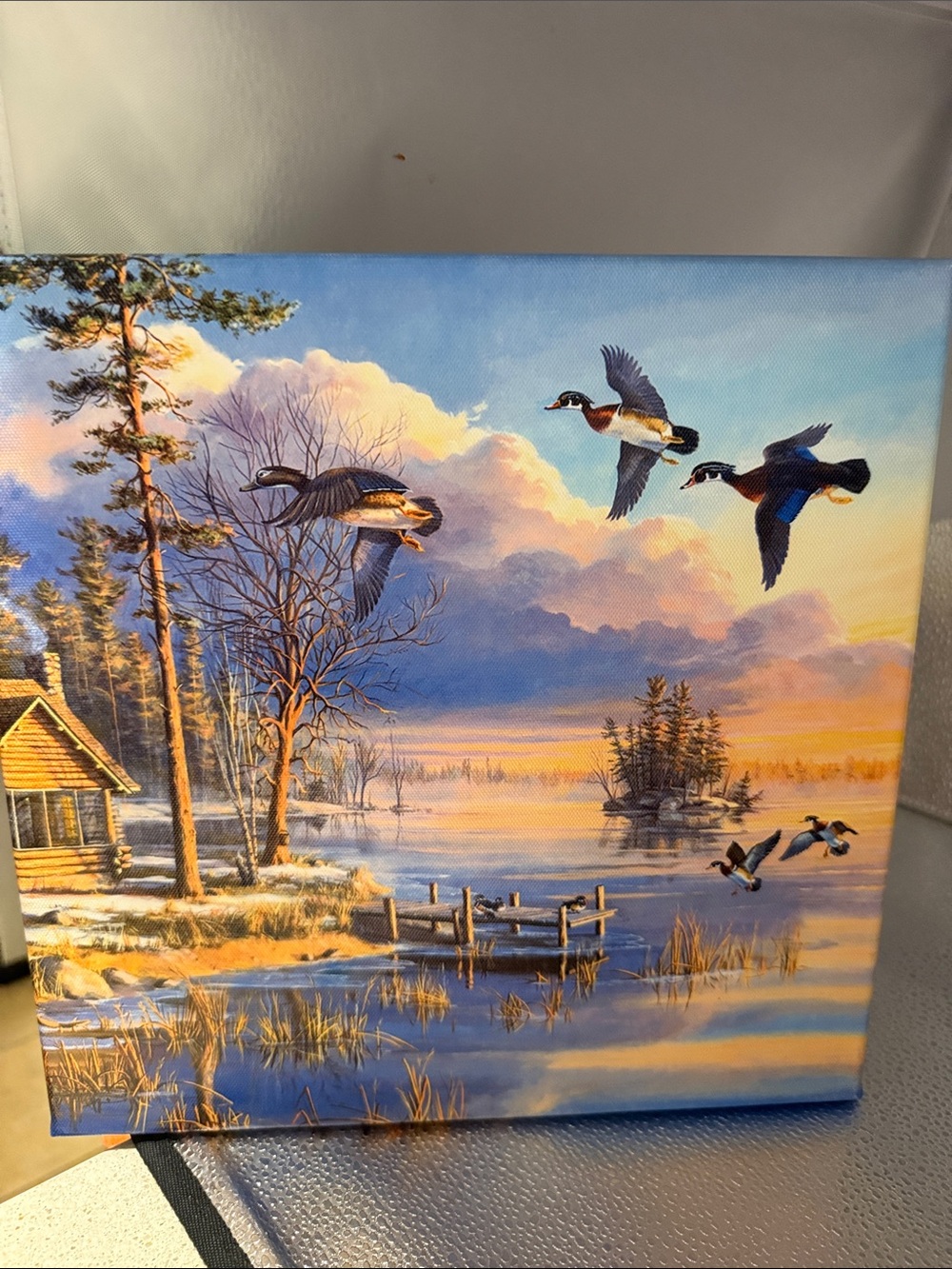 Canvas print titled “ Soring Arrivals” by Mary Pettis